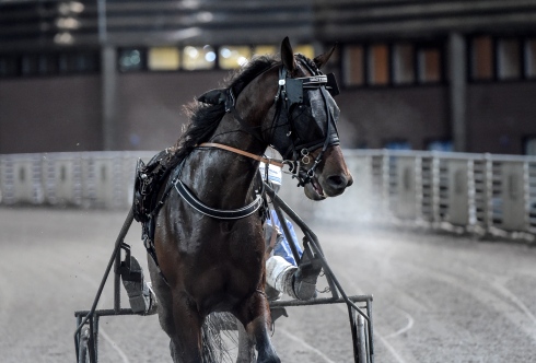 Foto av Lars Jakobsson/TR Bild